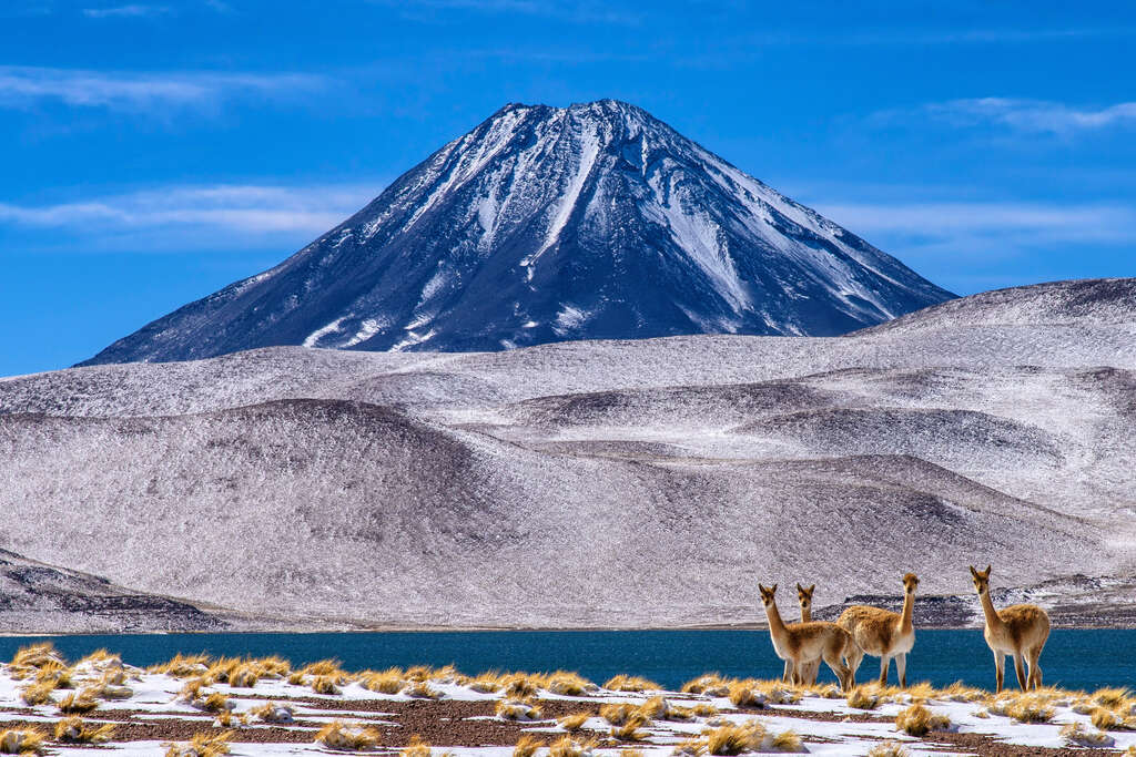 Volcan Miscanti, Atacama