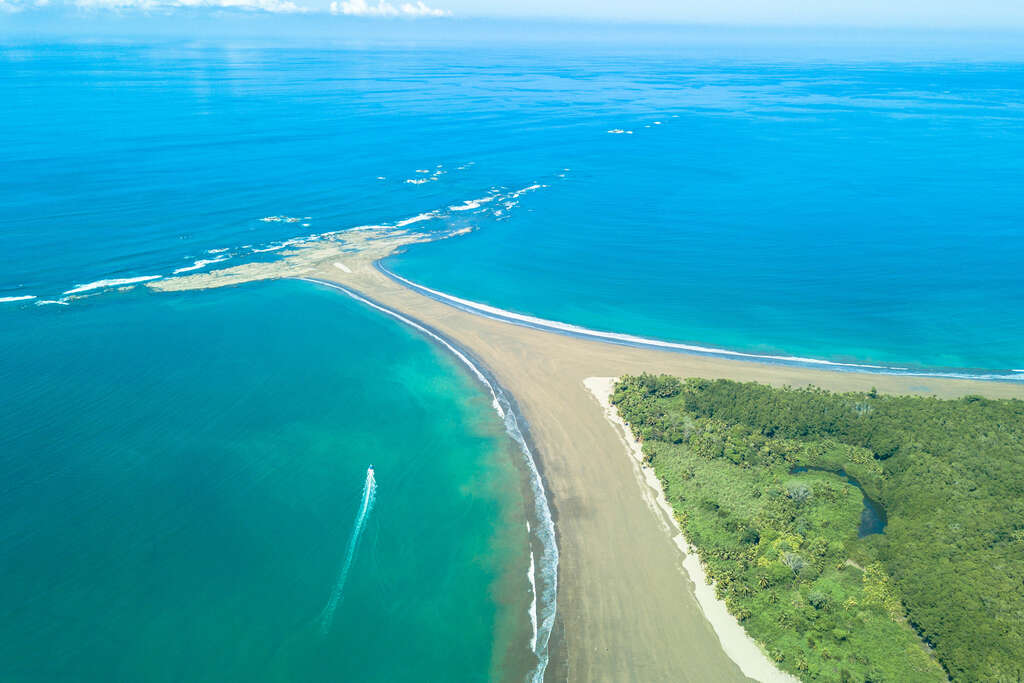 Parc Marino Ballena