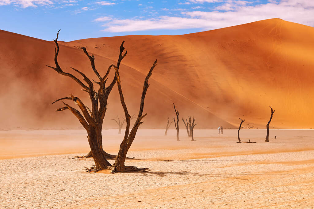 Sossusvlei, désert du Namib