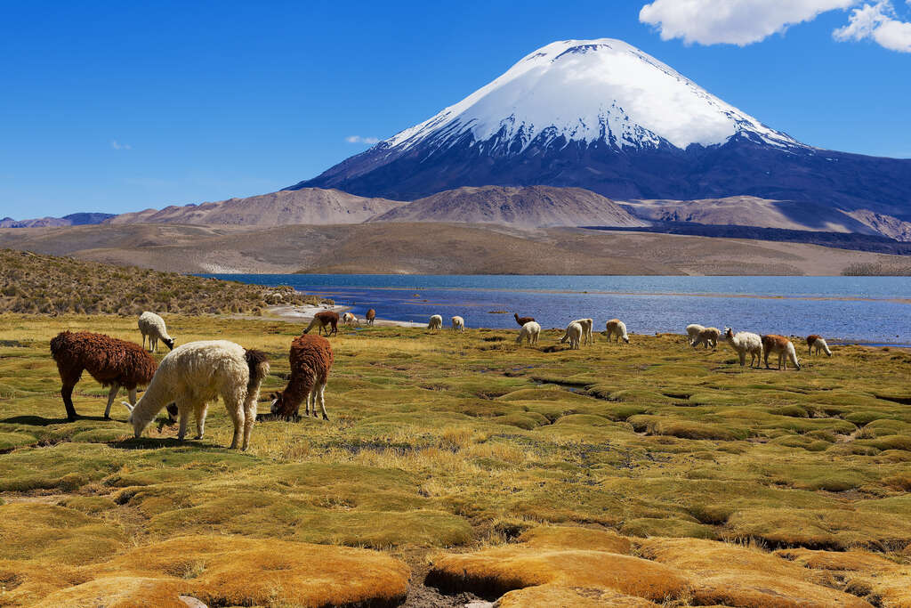 Lac Chungara, Parc national Lauca