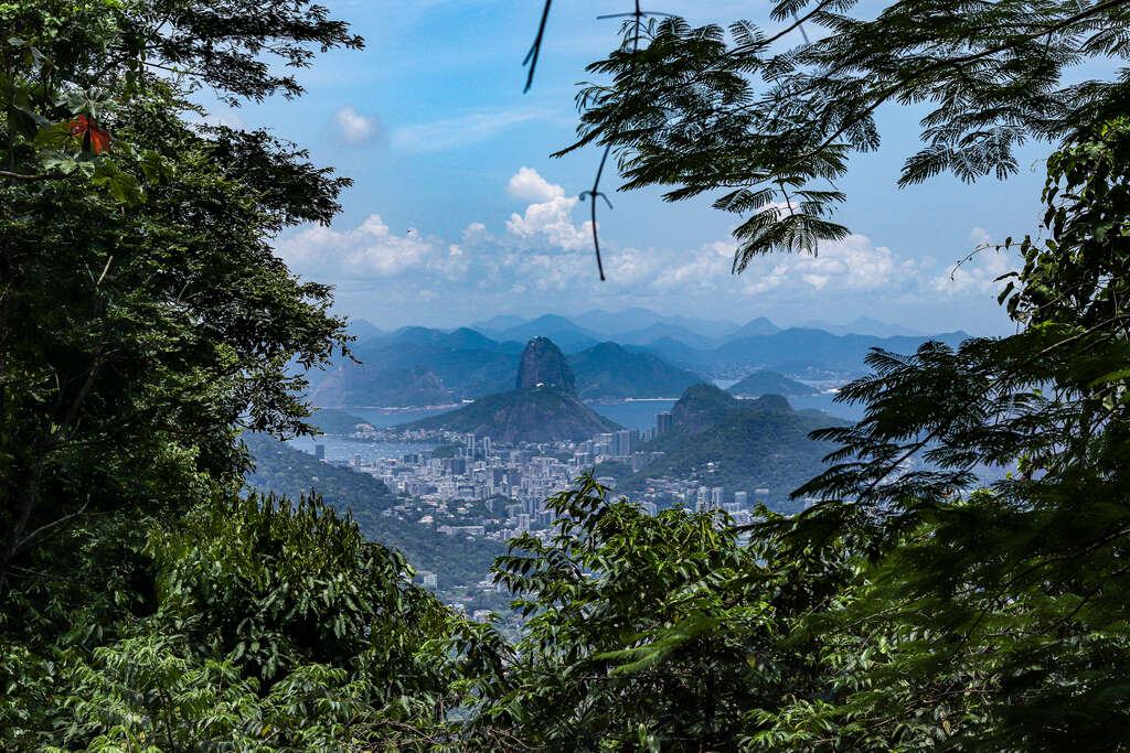 Vue de Rio de Janeiro depuis la forêt de Tijuca