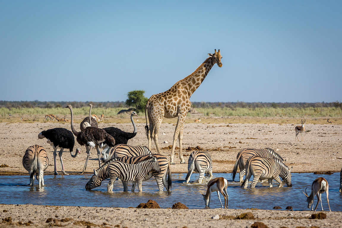 Que faire en Namibie : les incontournables du pays