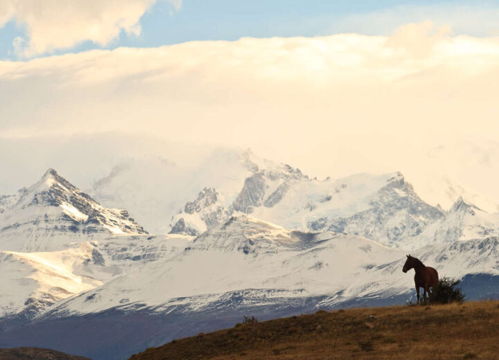 Quand partir en Argentine ?