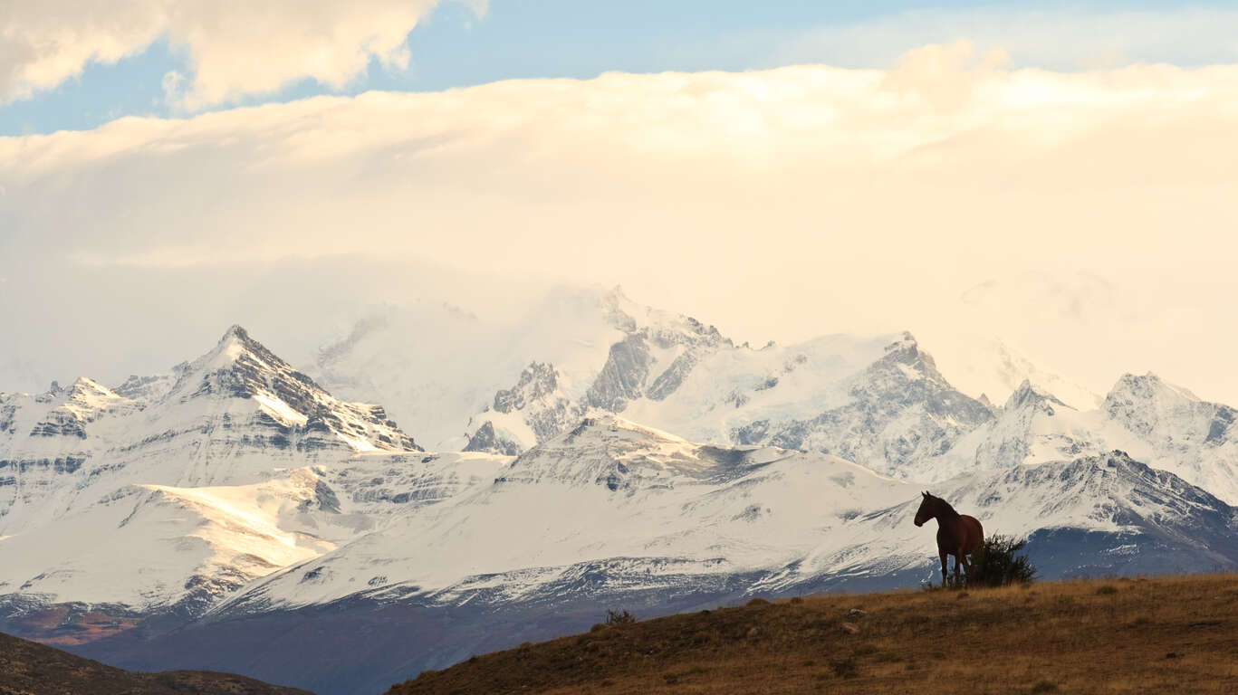 Quand partir en Argentine ?