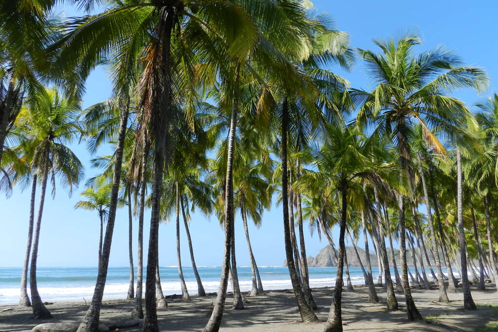 Playa Samara, côte Pacifique