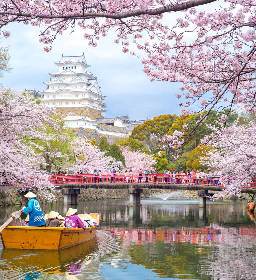 Pourquoi opter pour un voyage en immersion au Japon? 