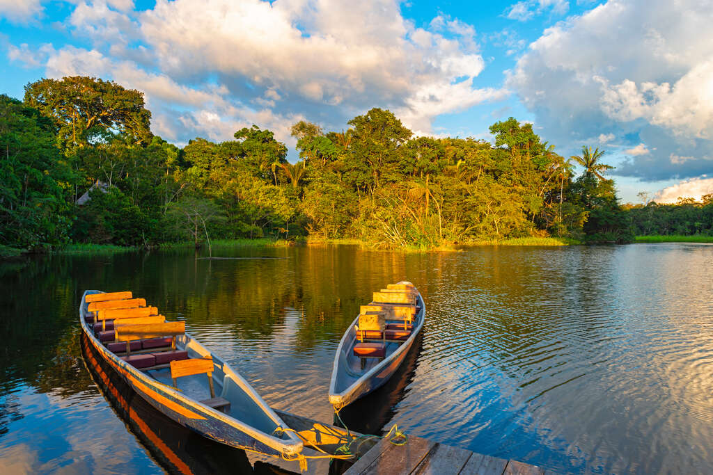 Forêt amazonienne, Equateur