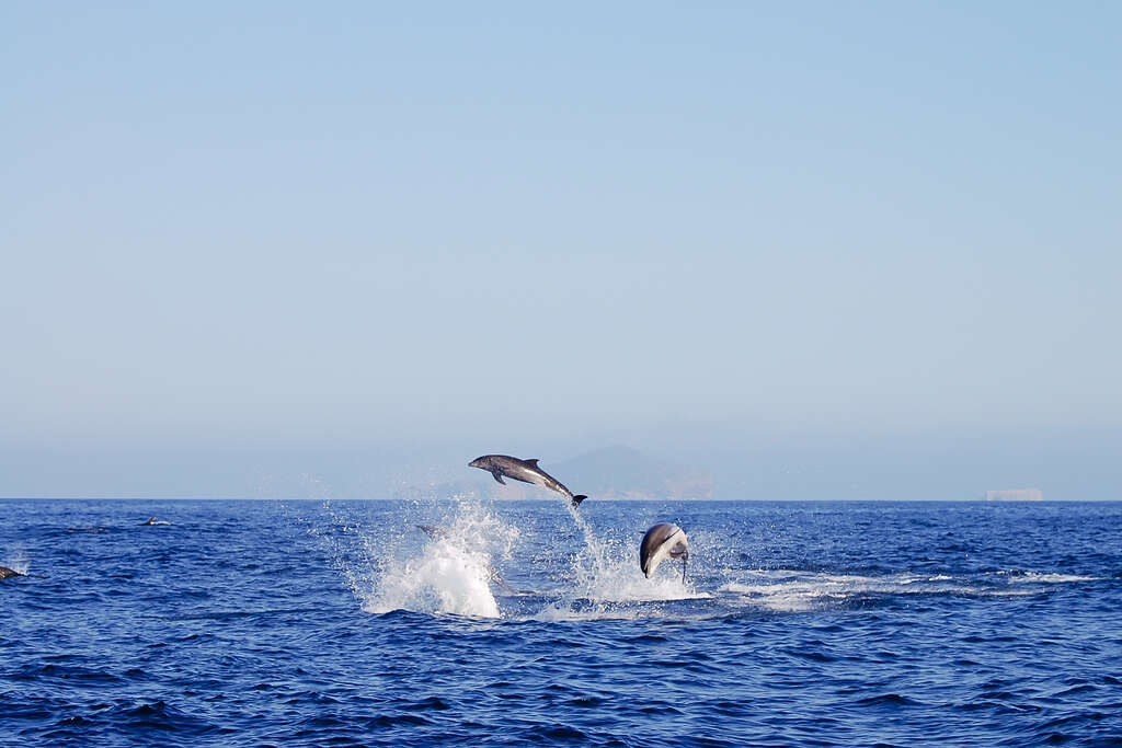 Iles Galapagos