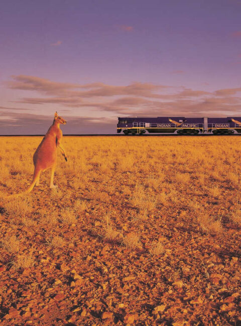 L’Indian Pacific : un voyage en train mythique
