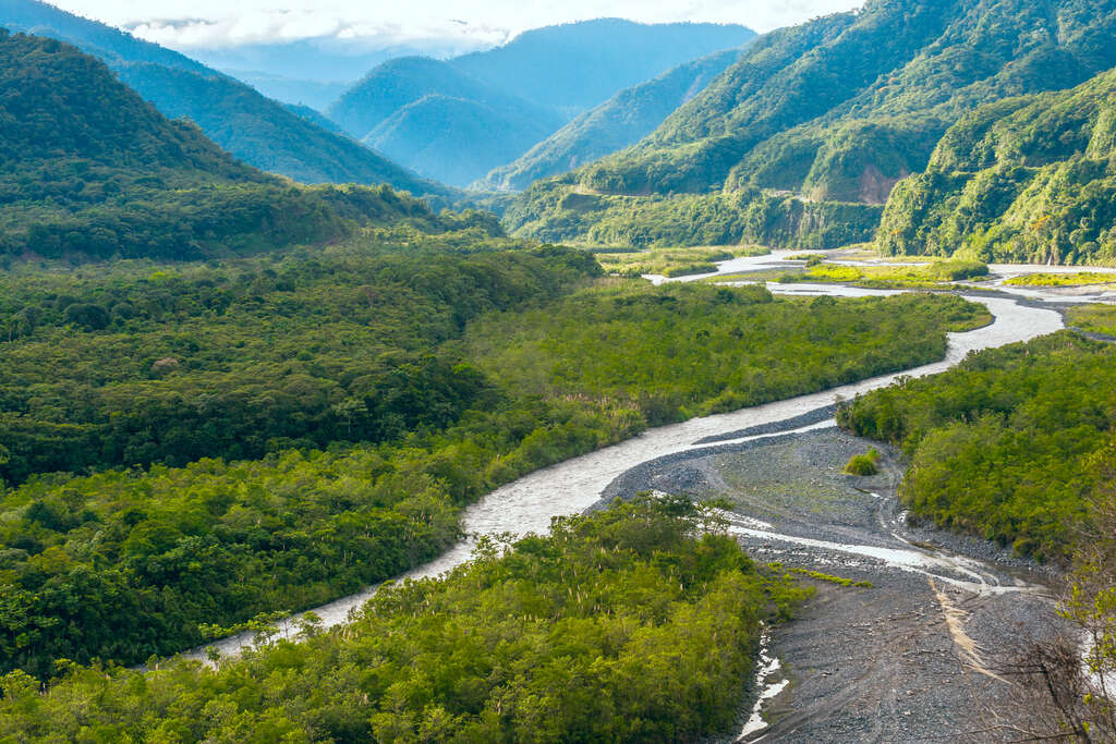 Amazonie équatorienne