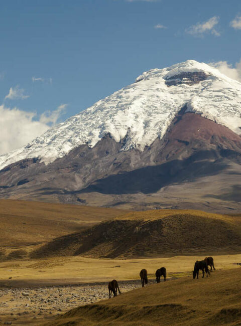 voyage equateur tout inclus