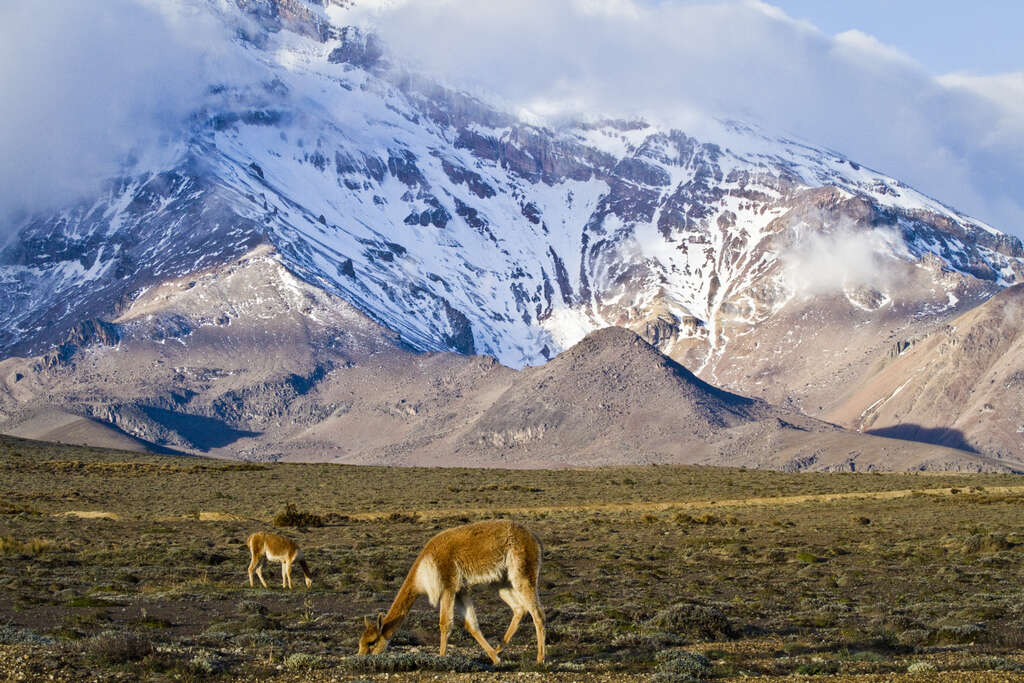 Volcan Chimborazo, Equateur