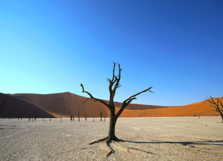 Quand partir en Namibie ?