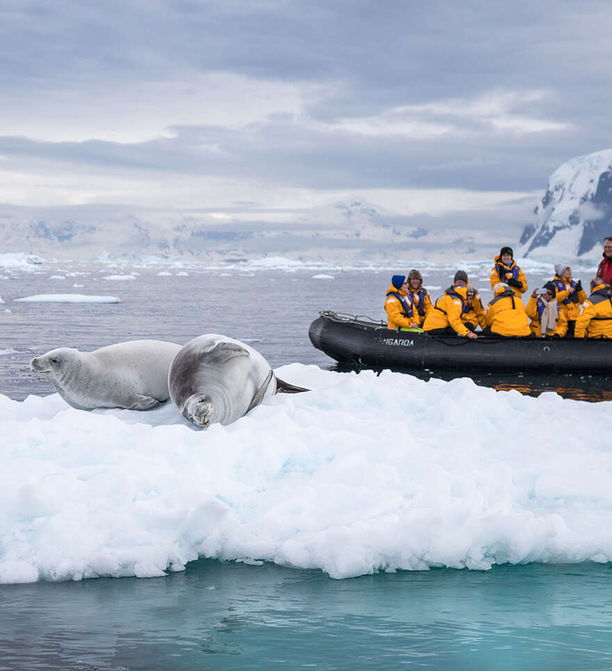 L’Antarctique : voyage au cœur du continent blanc