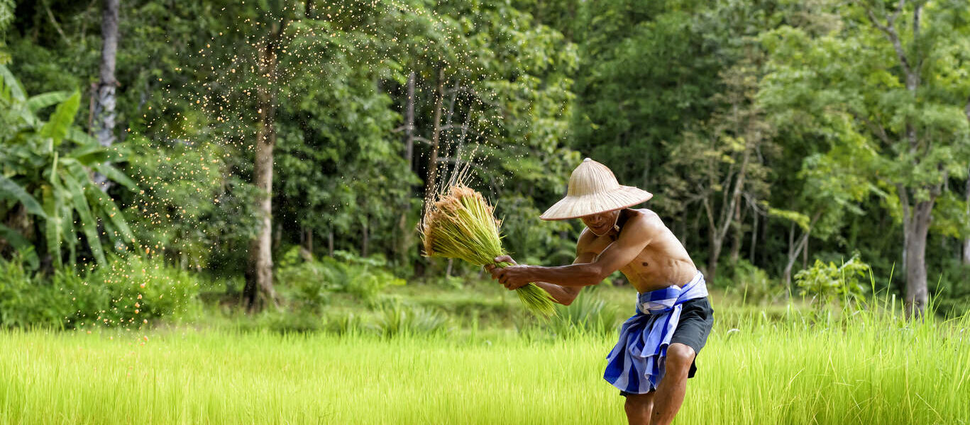 Le Vietnam version éco-responsable