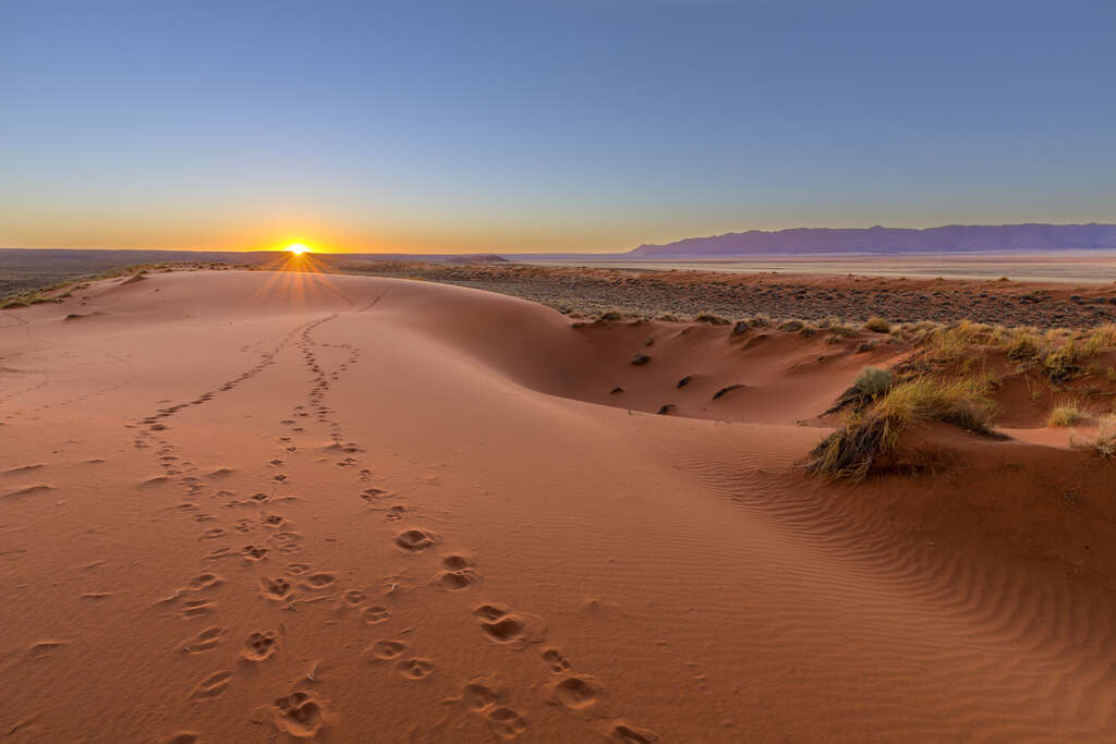 Quand partir en Namibie?