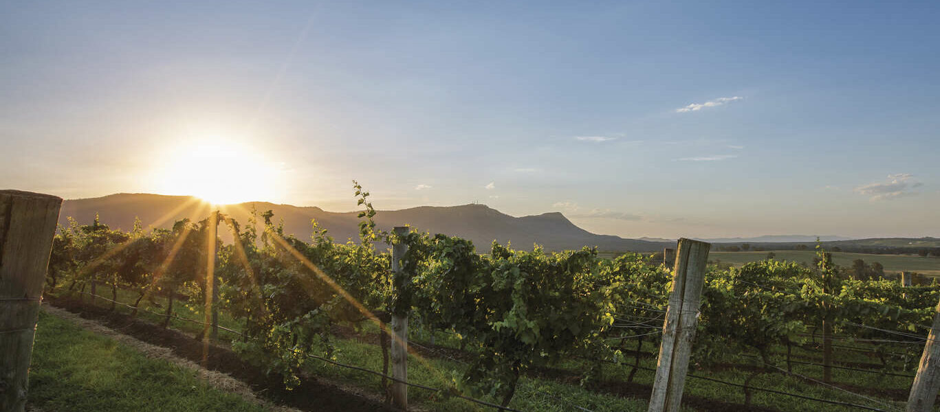 Gastronomie et œnologie de Sydney à la Hunter Valley