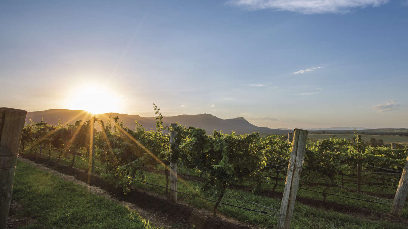 Circuit gastronomie et œnologie à Sydney et la Nouvelle-Galles du Sud