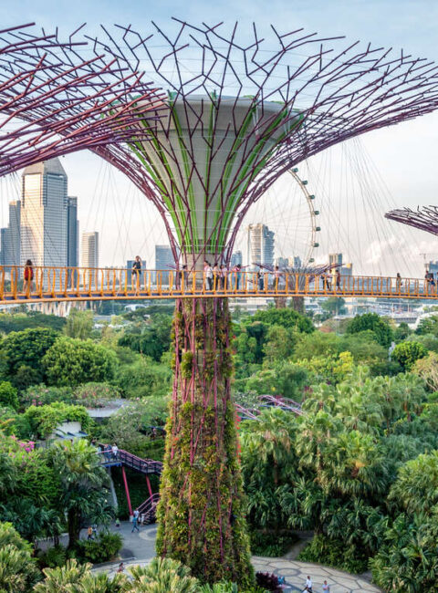 Voyage sur la péninsule Malaise depuis Singapour