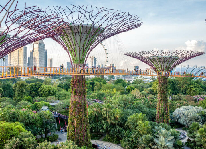 Voyage sur la péninsule Malaise depuis Singapour