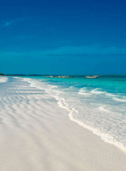 Pistes du Serengeti en petit groupe et séjour à Zanzibar