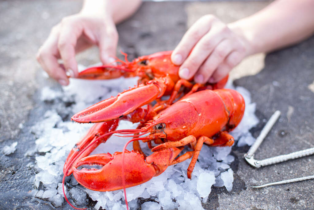 Guide Nouveau Brunswick 