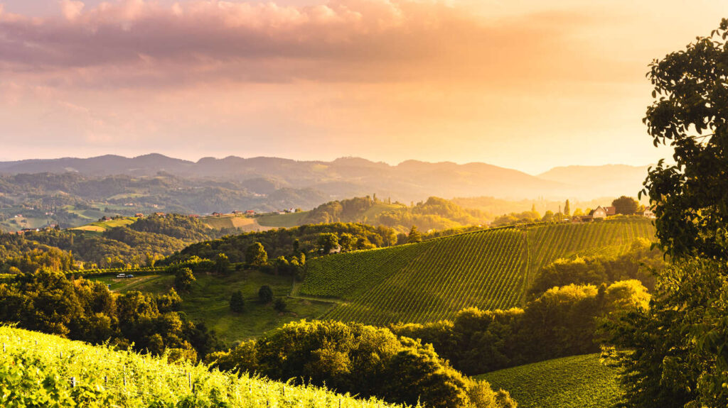 Voyage gastronomie vin Australie 15 jours