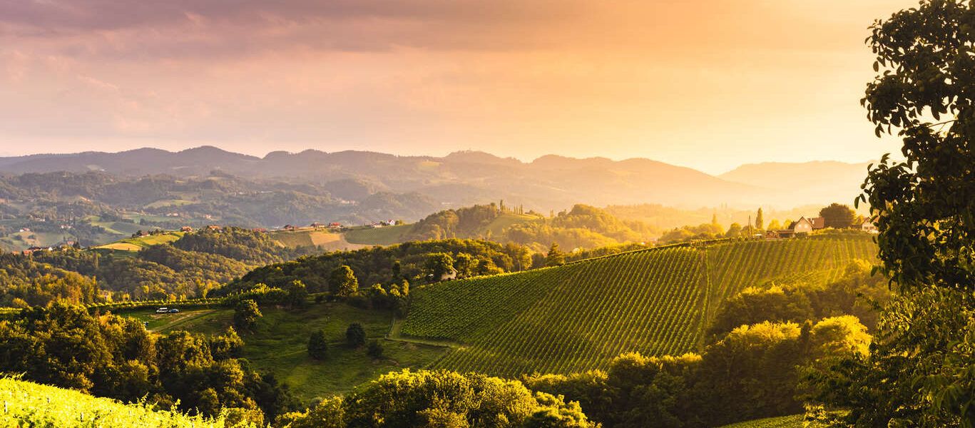 Voyage gastronomie vin Australie 15 jours