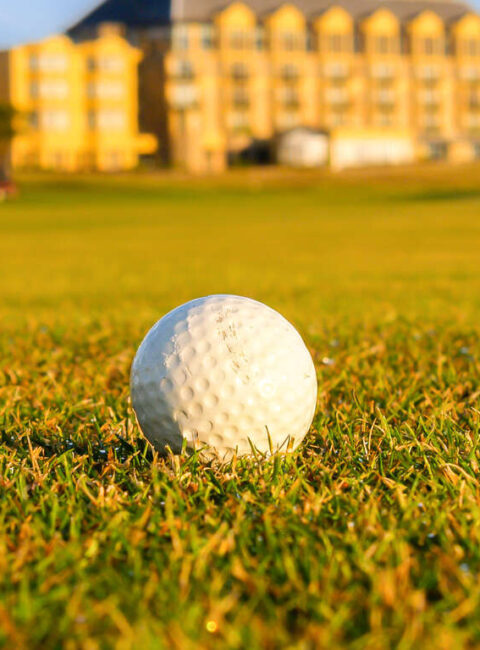 Escapade au Royaume du Golf