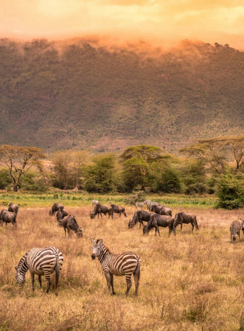 voyage tanzanie enfant