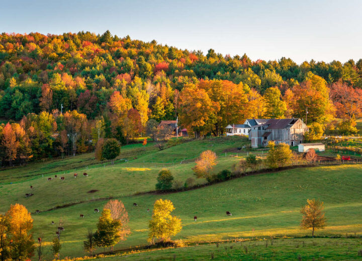 5 des plus beaux étés indiens dans le monde