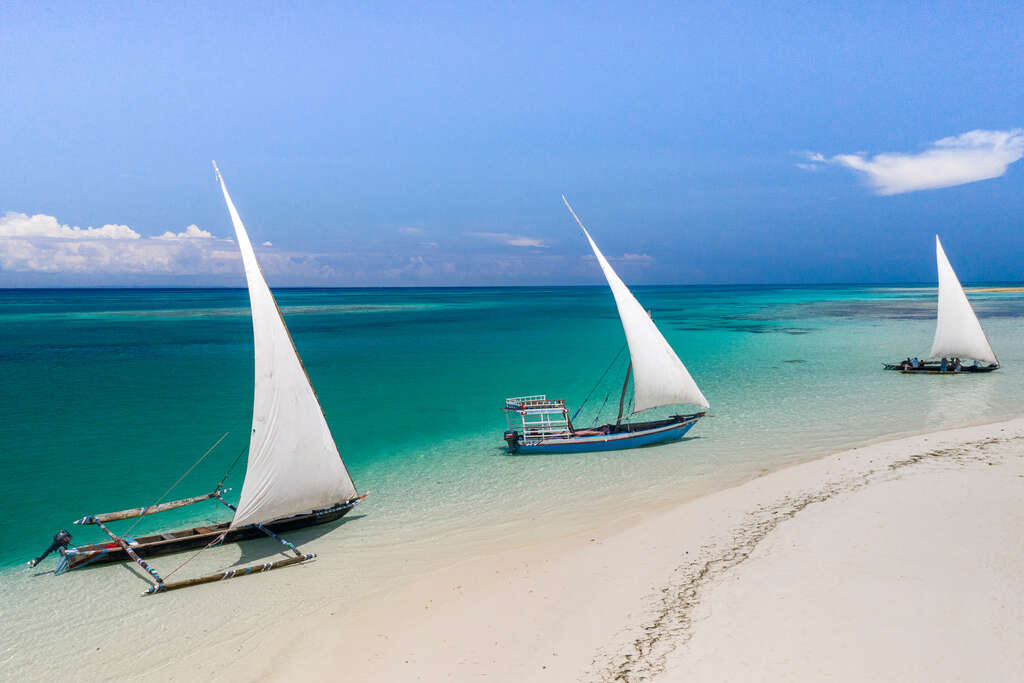 faire un safari en Tanzanie