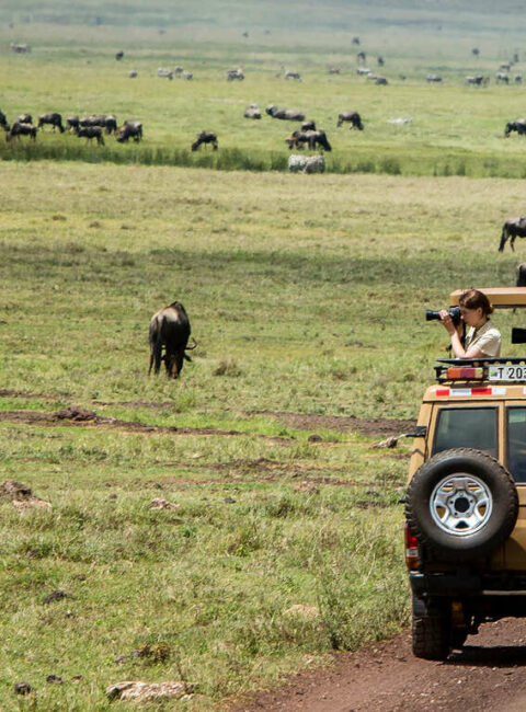 comptoir des voyages tanzanie