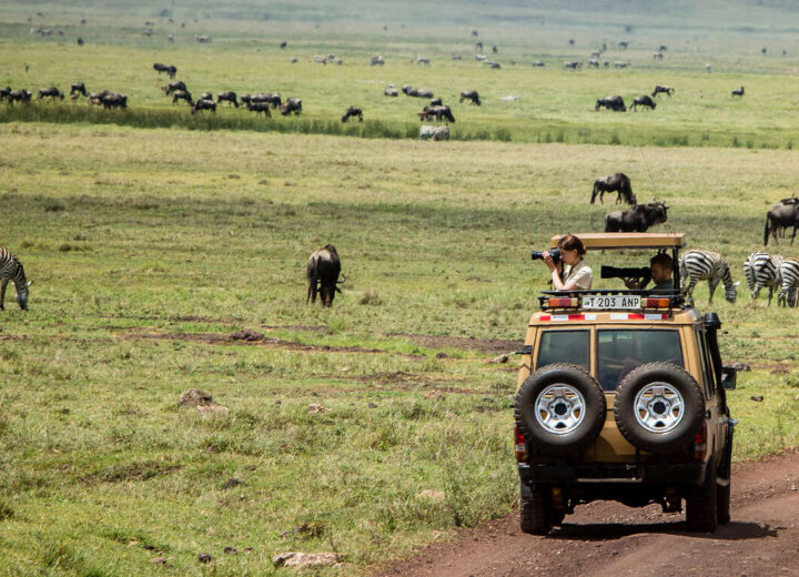 Quand partir en Tanzanie ?