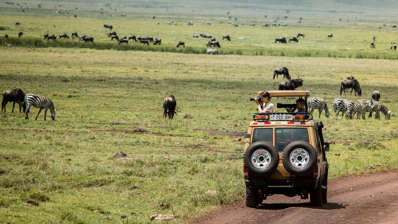 Quand partir en Tanzanie ?