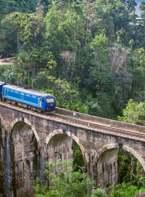 Découverte immersive du Sri Lanka en petit groupe