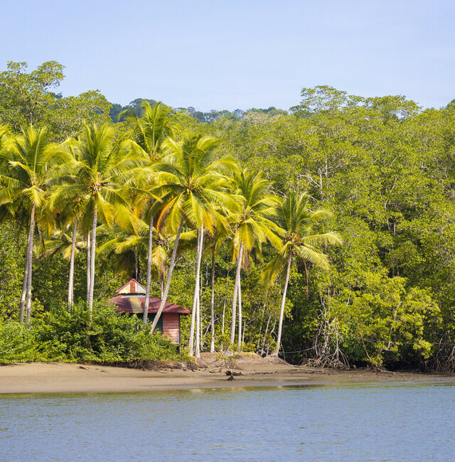 Ecotourisme au Costa Rica