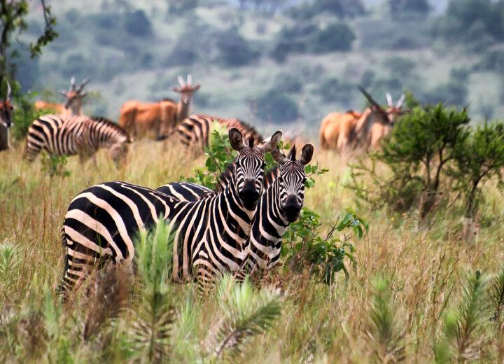 Le grand tour du Rwanda