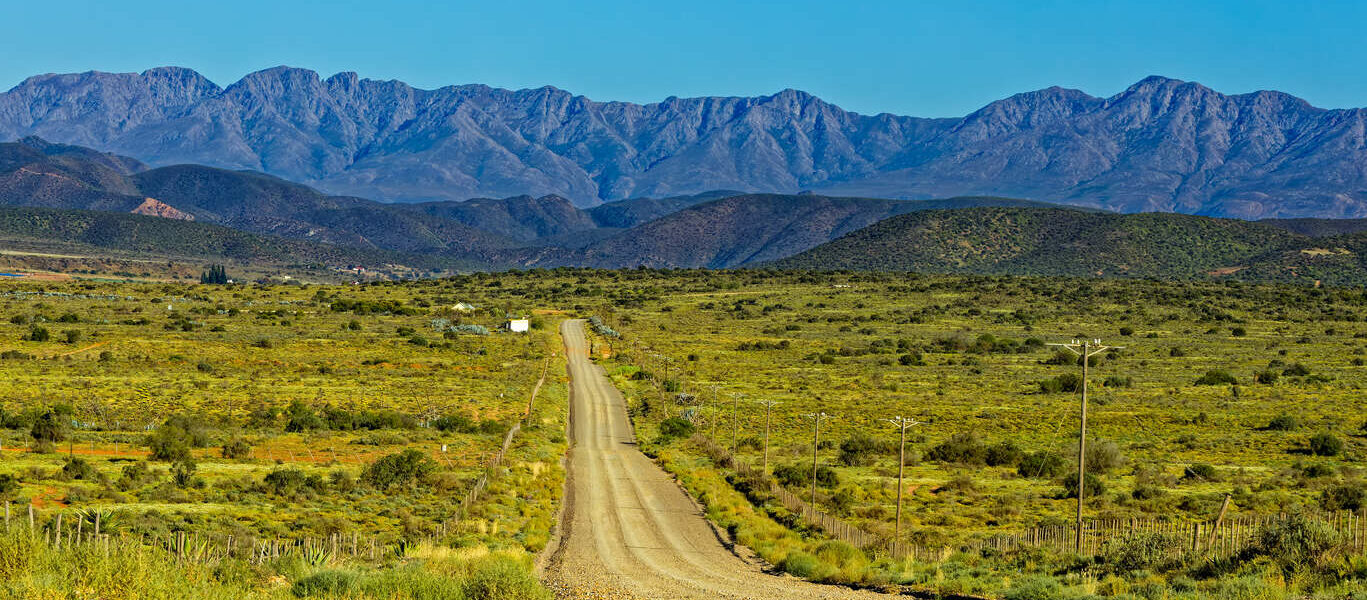 Cape Explorer : Safaris loin des foules