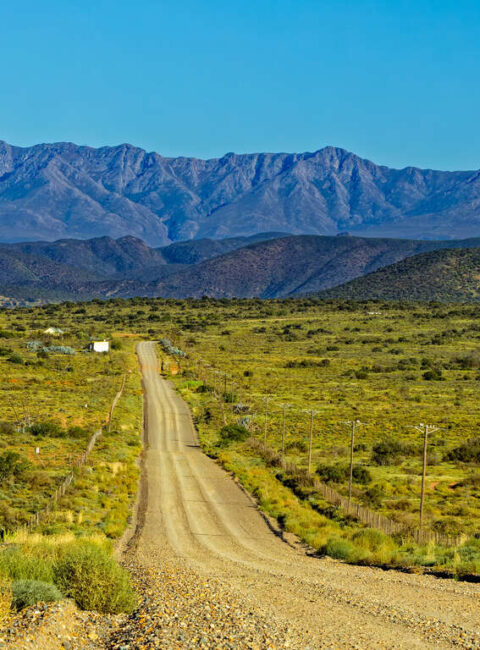 Cape Explorer : Safaris loin des foules
