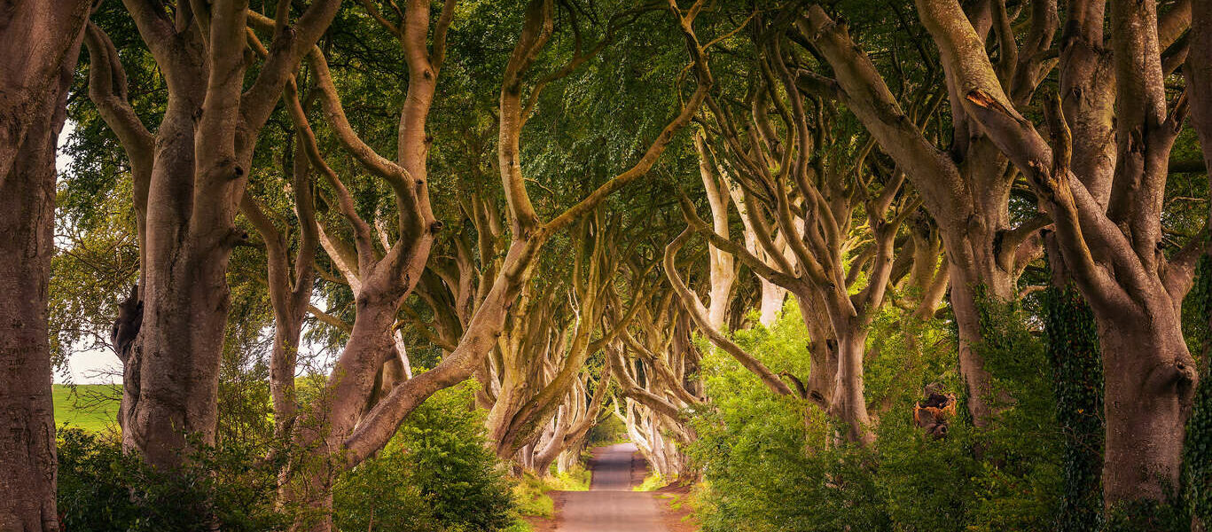 Sur les traces de Game of Thrones
