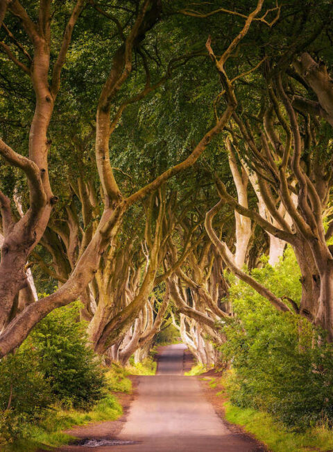 Sur les traces de Game of Thrones