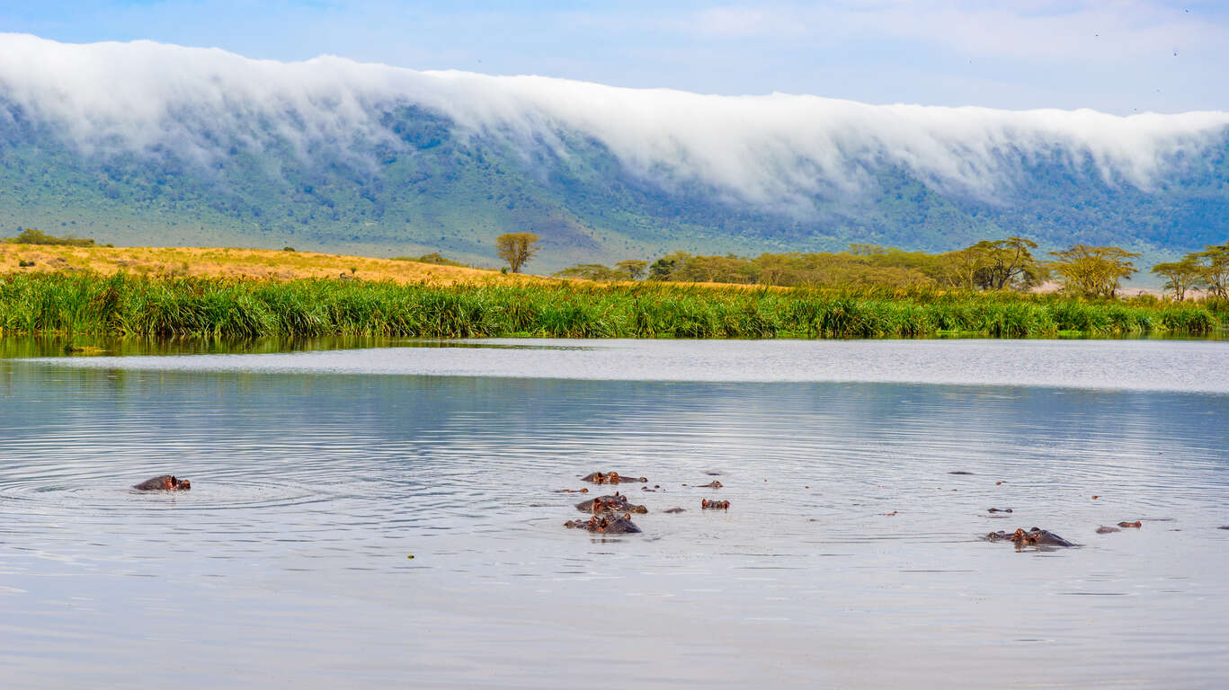 La Tanzanie pendant la saison verte