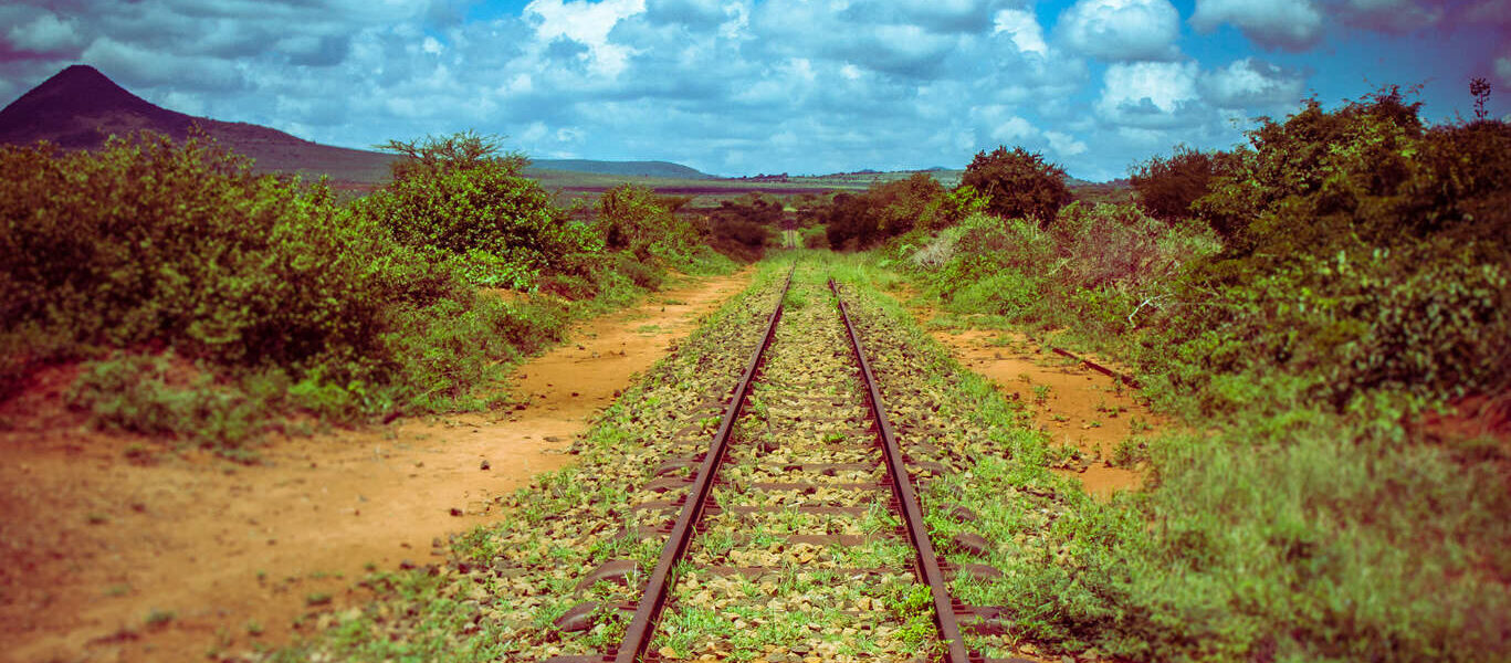 Safari responsable en train au Kenya