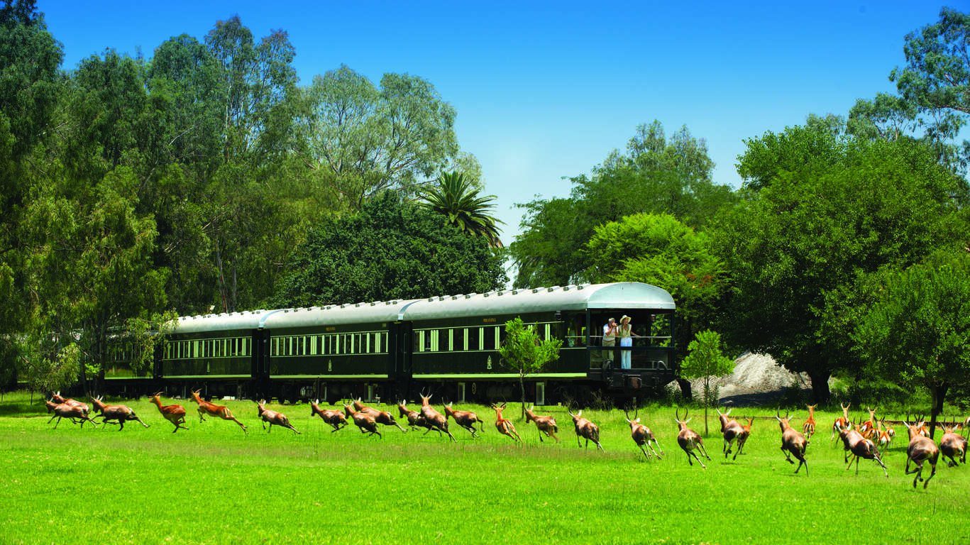 Voyage en Afrique en train