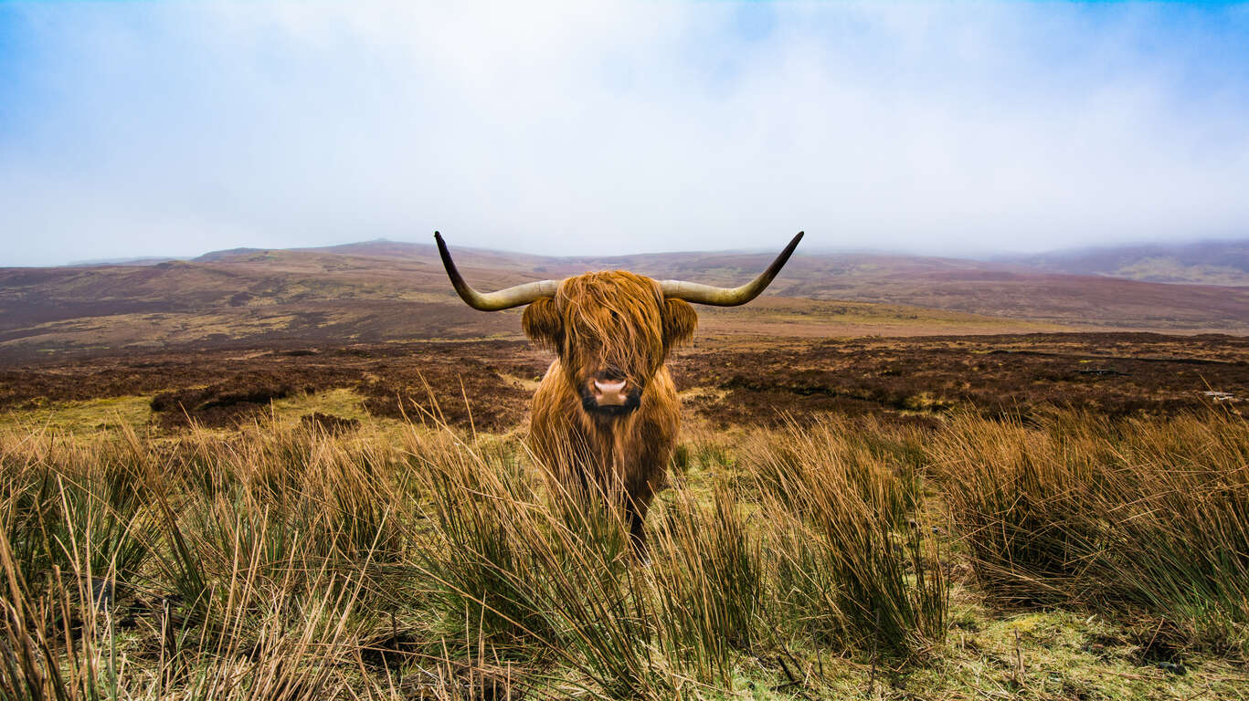 Les merveilles de l’Ecosse en petit groupe