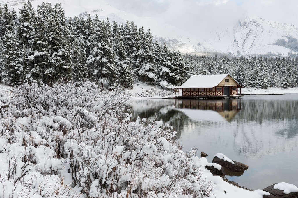 L’Alberta en Hiver