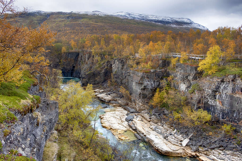 La Laponie suédoise en été