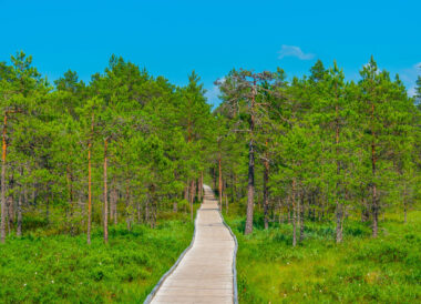 Les Essentiels de l’Estonie