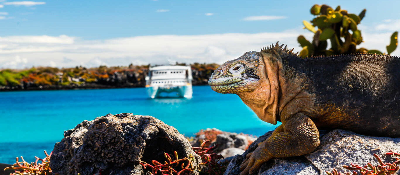 Découverte de l’Équateur authentique et croisière dans les Galapagos